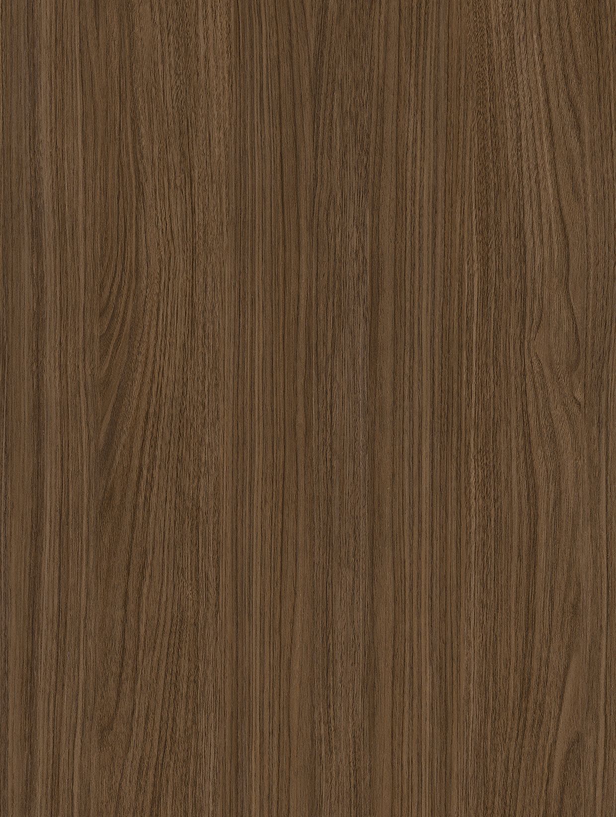 Royal Walnut 